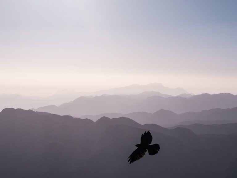 Unconventional Outdoor Adventures: Embrace the Wild Side of Travel